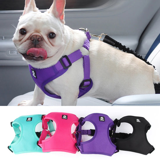 Guangdong Choice Classic Car Dog Harness With Seatbelt Clip Crash Tested