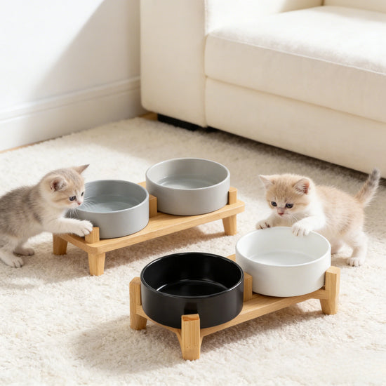 Double Elevated Pet Bowl Ceramic Feeder For Cats And Dogs