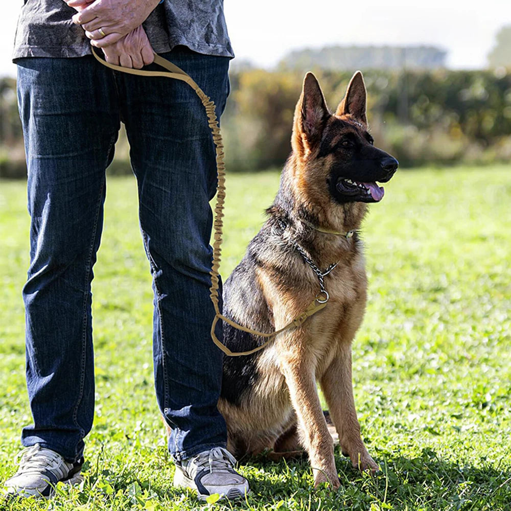 PETRAVELCN Military Dog Leash with Quick Release 2 Control Handles