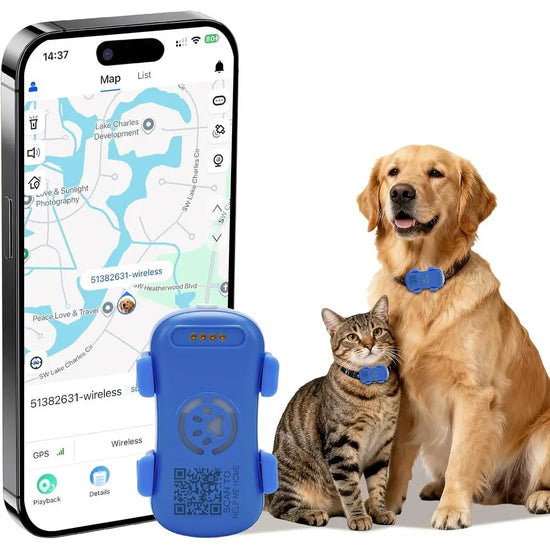 GPS Tracker For Dogs And Cats With Real Time Location